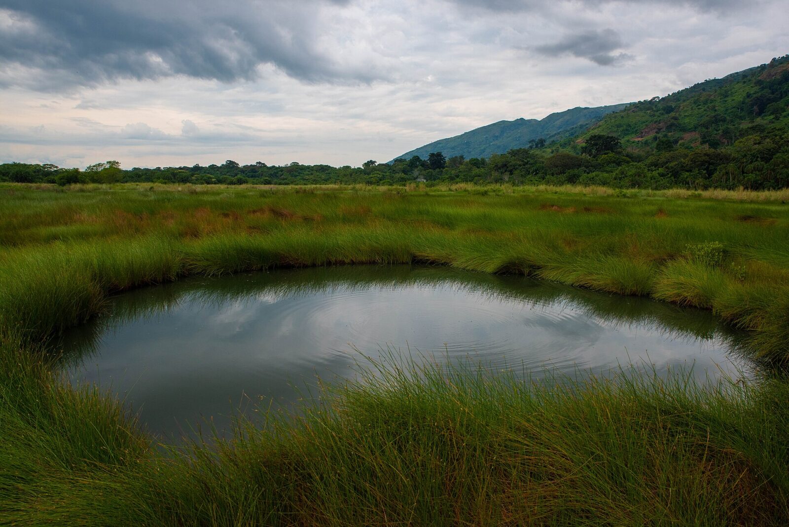 Katonga Wildlife Reserve
