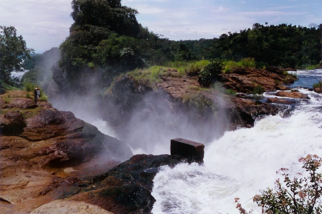 Murchison Falls Uganda Wildlife Safari â€” 4-Days: Where the Nile Breaks and the Wild Roars