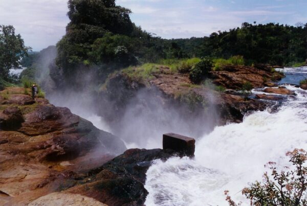 Murchison Falls Uganda Wildlife Safari — 4-Days: Where the Nile Breaks and the Wild Roars