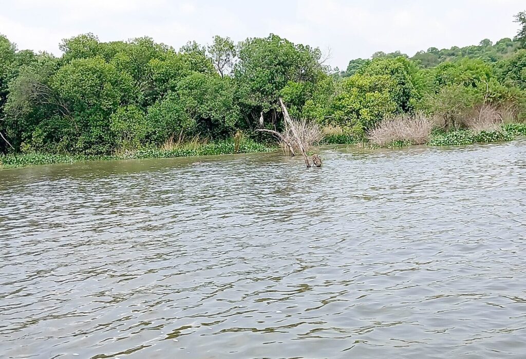 Is It Safe to Travel to Uganda? Safety Advice for Tourists