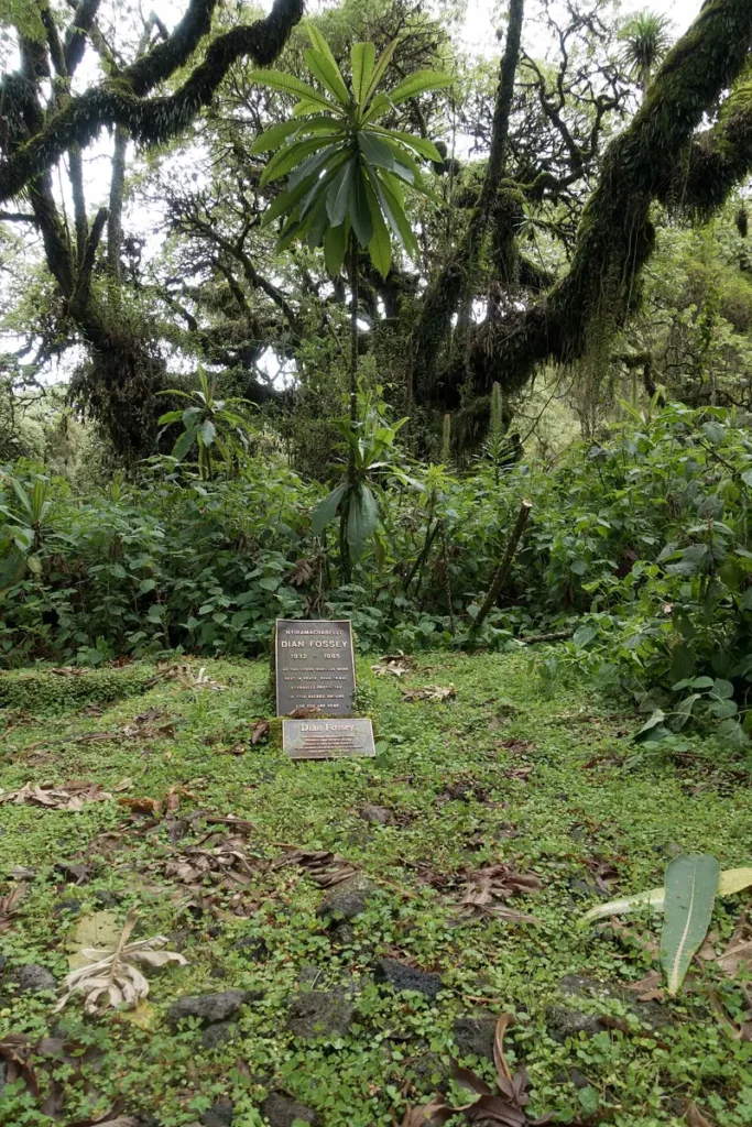 Dian Fossey's grave at Karisoke in the Virunga mountains