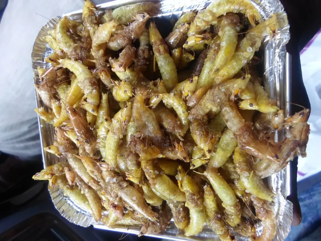 Plate of fried nsenene grasshoppers