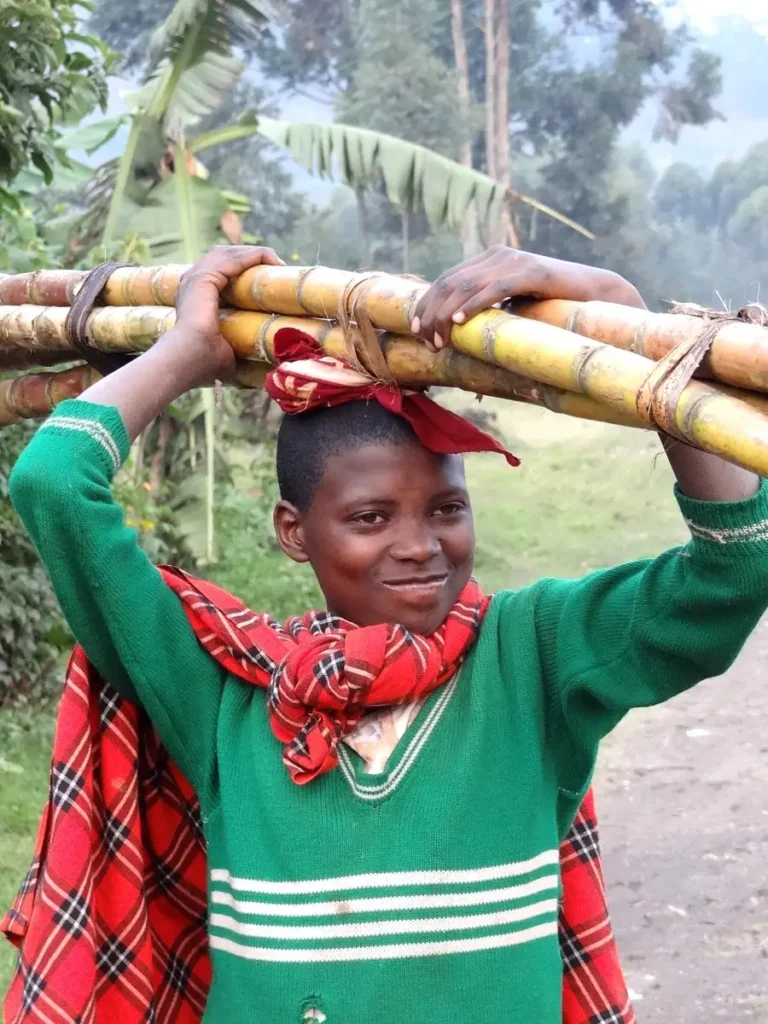 Girl carrying bamboo poles near Kisoro