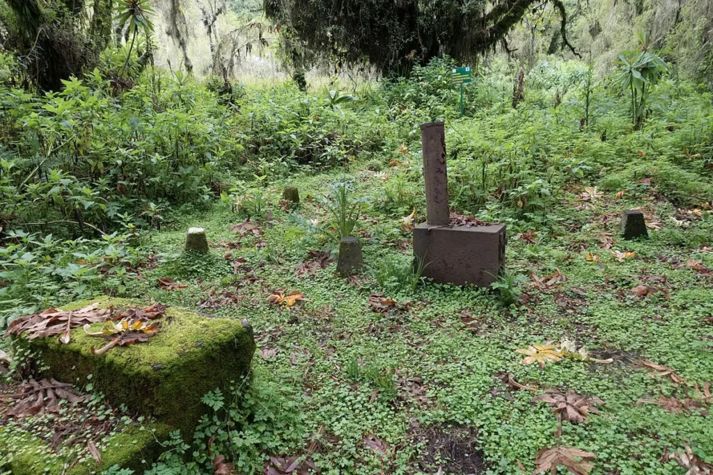 Remains of a research cabin at the Karisoke Research Center