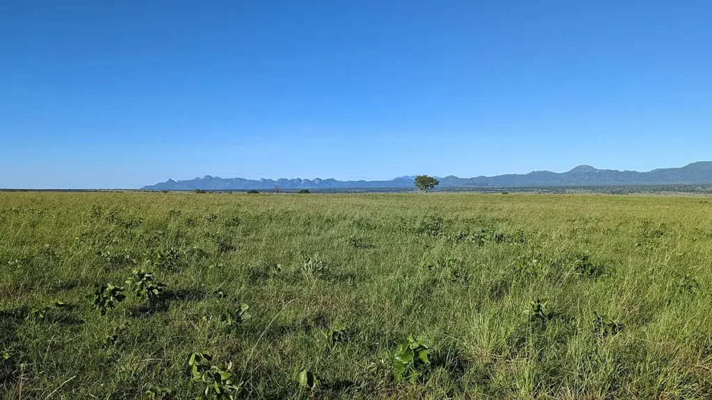 Wide open grassland plain in Kidepo Valley National Park