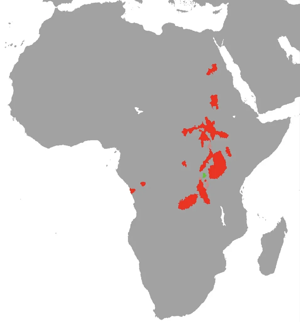 Map of the range of the marbled lungfish in East and Central Africa