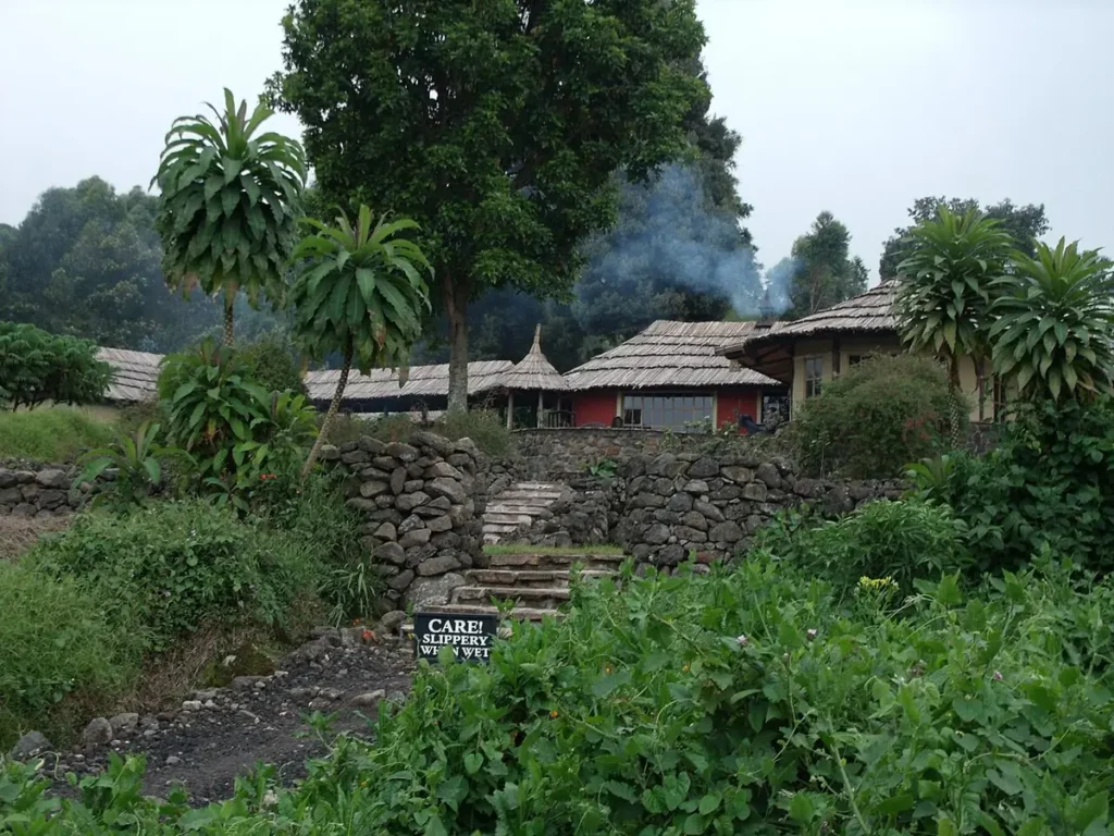 Guesthouse with gardens and forest near Mgahinga Gorilla National Park