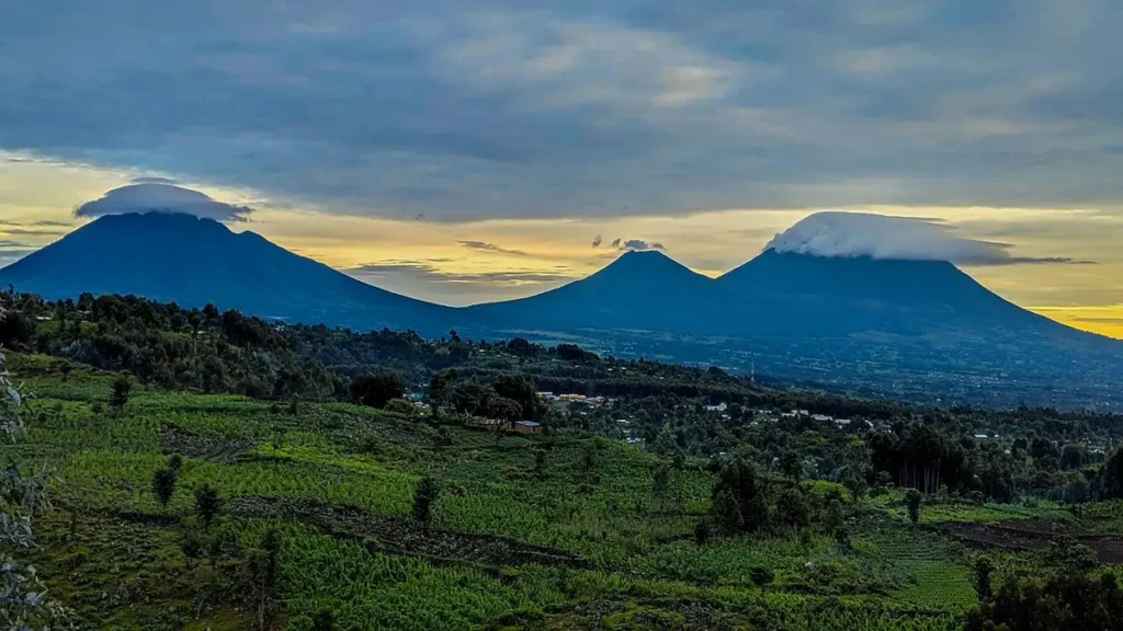 Muhabura, Gahinga and Sabyinyo volcanoes of the Virunga range