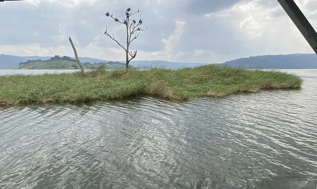 Punishment Island, a tiny island with a single tree on Lake Bunyonyi
